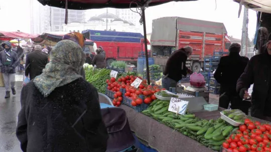 Rusya domatesi ihraç edemedi, fiyatı düştü