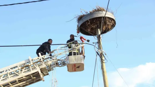 Rüzgar nedeniyle yıkılan leylek yuvası onarıldı