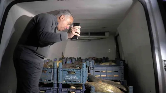 Sazan kaçakçısı Kayseri'de yakalandı