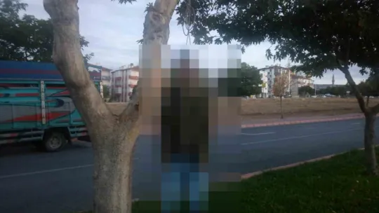 Sosyal medya profiline 'karanlıktayım anne' yazan şahıs ağaçta asılı bulundu