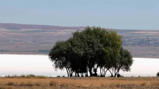 Suyu gitti, tuzu kaldı