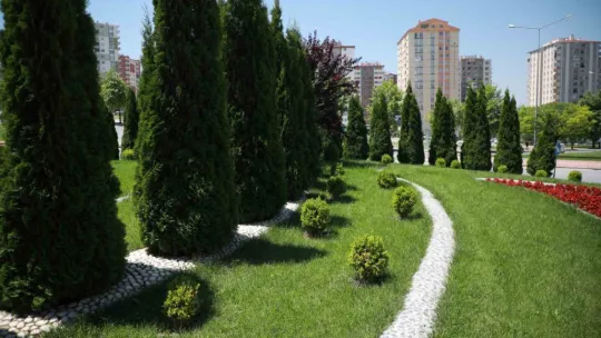 Talas'a 5 yılda 500 bin ağaç