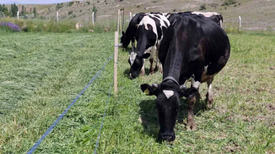 Talas Belediyesi Üreticiye Örnek Oldu