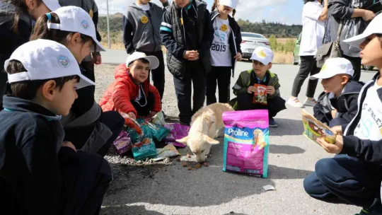 Talas Pati Evi: Candostlara vip servis