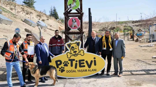 Talas'ta Türkiye'ye örnek pati evi