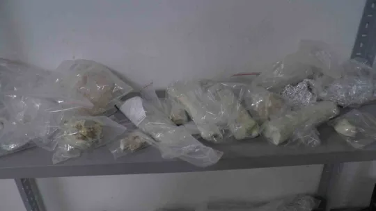 Taşhan kazılarında 'zürafa' fosili fışkırıyor