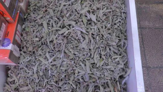 Terlemeye karşı bitkisel çözüm: Şeb taşı