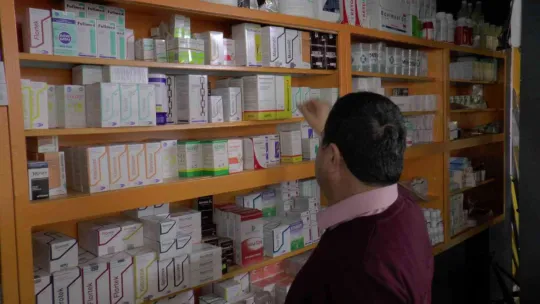 Tilkiler kuduzun doğal taşıyıcıları