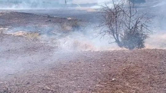 Tomarza'da arazi yangını
