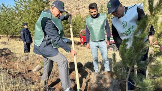 Tomarza'da bin 500 fidan toprakla buluştu