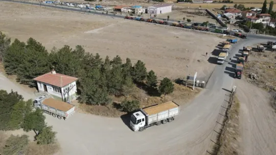 Tomarza TMO Yaklaşık 70 Bin Ton Buğday Aldı
