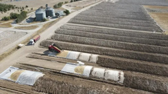 Tomarza TMO Yaklaşık 70 Bin Ton Buğday Aldı