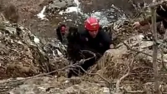 Uçuruma yuvarlanan keçi 6 saatte kurtarıldı