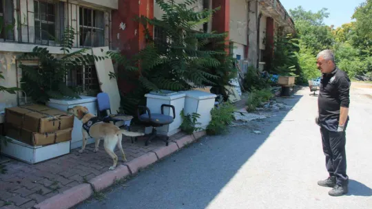 Uyuşturucu tacirlerinin korkulu rüyası 'Jack'