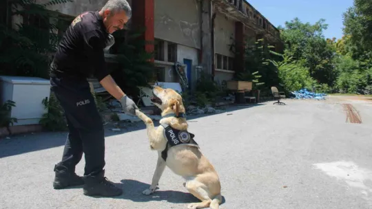 Uyuşturucu tacirlerinin korkulu rüyası 'Jack'