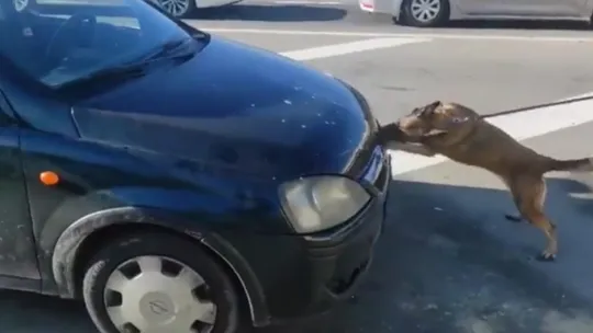 Uyuşturucuyu aracın motor kaputuna zulalamışlar