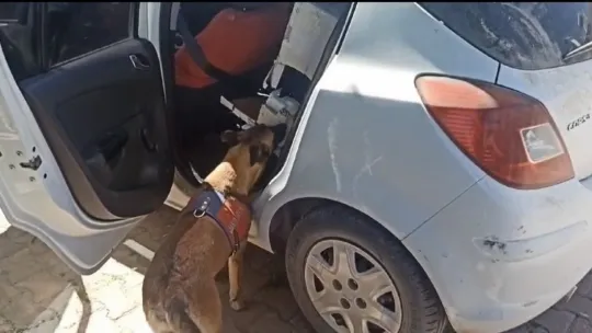 Uyuşturucuyu elektrikli şömineye saklamışlar