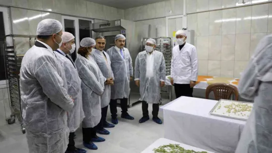 Vali Çiçek'ten Develi ziyareti