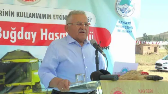 Vali ve başkan yazlık buğday hasadı yaptı