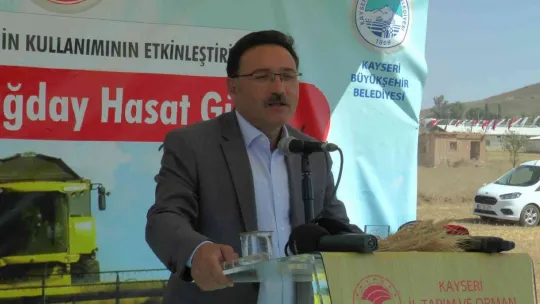 Vali ve başkan yazlık buğday hasadı yaptı