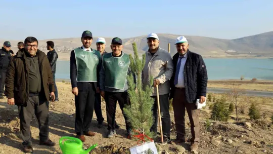 Yahyalı'da Fidanlar toprakla Buluştu