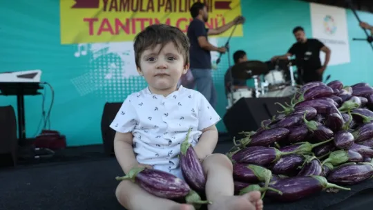 Yamula Patlıcan Festivali'ne 10 Binlerce Kişi Katıldı