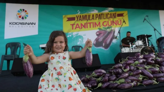 Yamula Patlıcan Festivali'ne 10 Binlerce Kişi Katıldı
