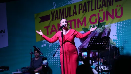 Yamula Patlıcan Festivali'ne 10 Binlerce Kişi Katıldı