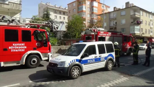 Yangında onlarca güvercin telef oldu