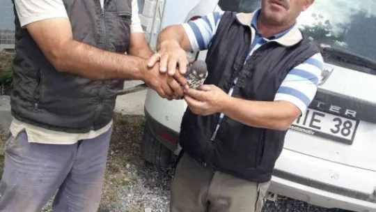 Yaralı kuşlara yardım eli