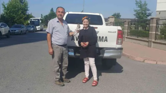 Yaralı leylek ve yavru kerkenez emin ellerde