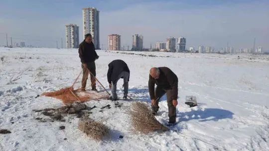 Yasa dışı avcılık yapan 5 kişiye ceza