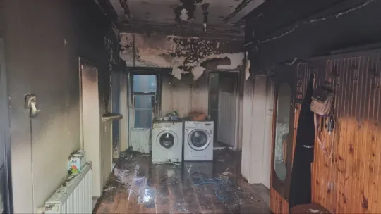 Yavru kediyi alevlerin arasından itfaiye ekipleri kurtardı