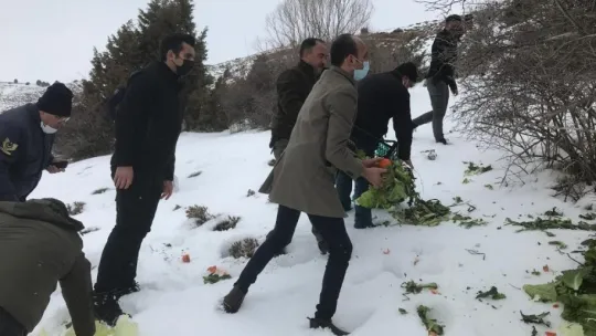 Yemleme çalışmaları devam ediyor
