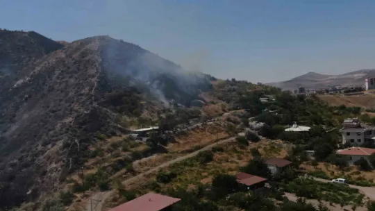 Yılanlı Dağı'ndaki yangın kontrol altına alındı