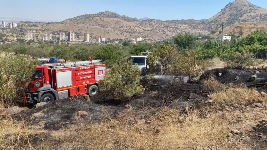 Yılanlı Dağı'ndaki yangın kontrol altına alındı