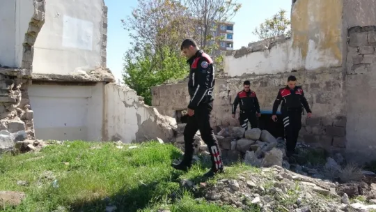 Yunuslar 1 ayda 12 bin 384 kişiyi sorguladı