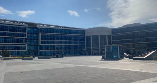 Bir kişinin öldüğü olayla ilgili açılan davada sanık kardeşler için istenen ceza belli oldu