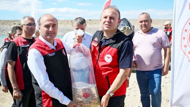 1 milyon yavru sazan suya bırakıldı