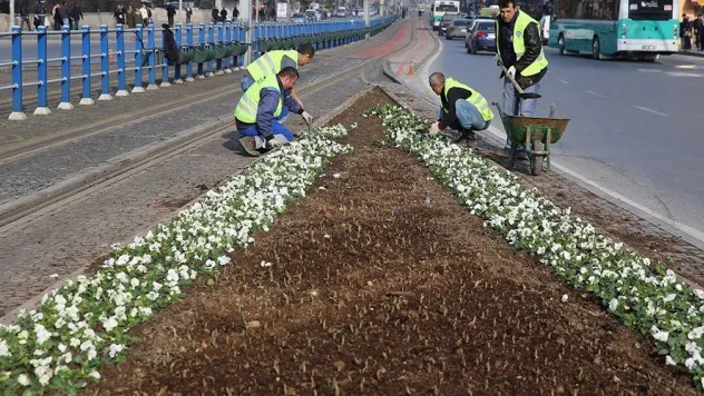 Büyükşehir'den 2 milyon çiçek