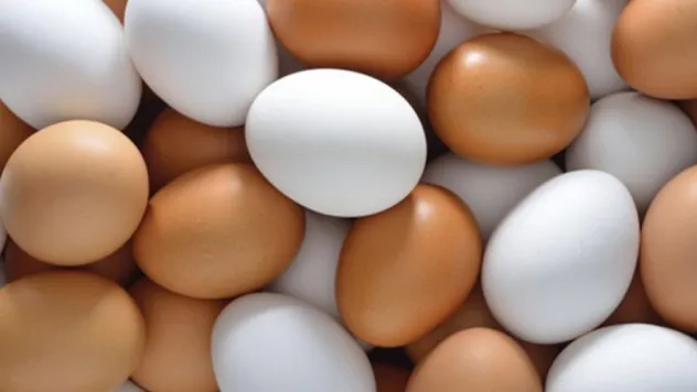 'Köy Yumurtası' istismarına dikkat!