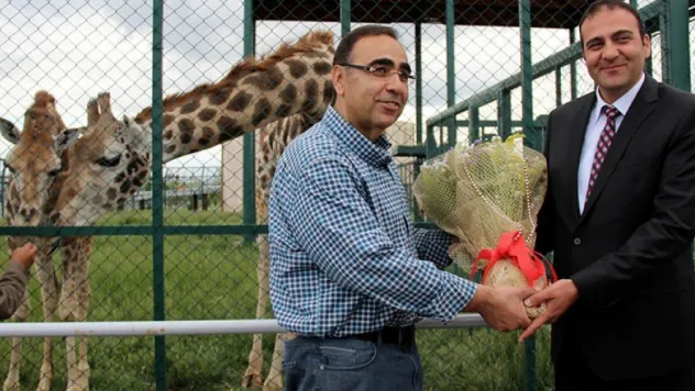 Selvi Gaziantep'e gelin gidiyor