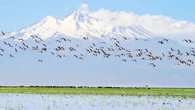 Sultansazlığı'nı bekleyen tehlike
