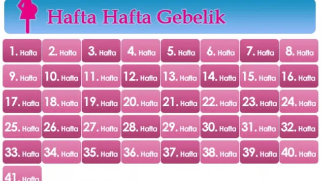 Hamililiek Hesaplama İle Yakşalasan Doğum Yapma Tarihiniz Öğrenebilirsiniz