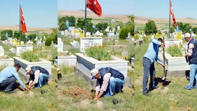 Sarıoğlan'da 'şehit mezarlarına' bakım