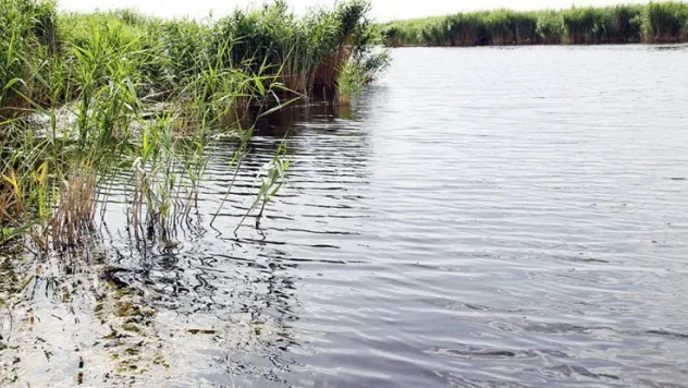 Sultan Sazlığı'nda su seviyesi son 20 yılın zirvesinde