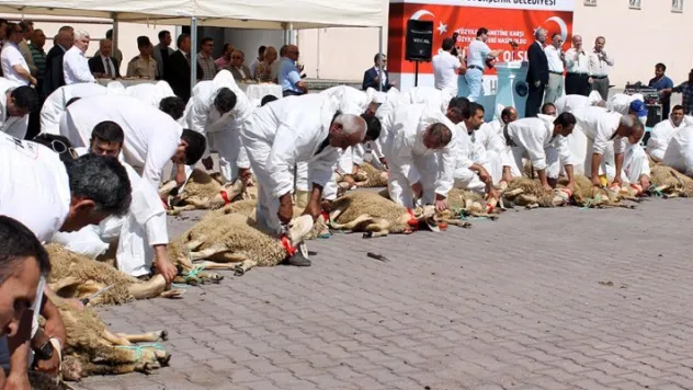 Kayseri'de 99 şükür kurbanı kesildi