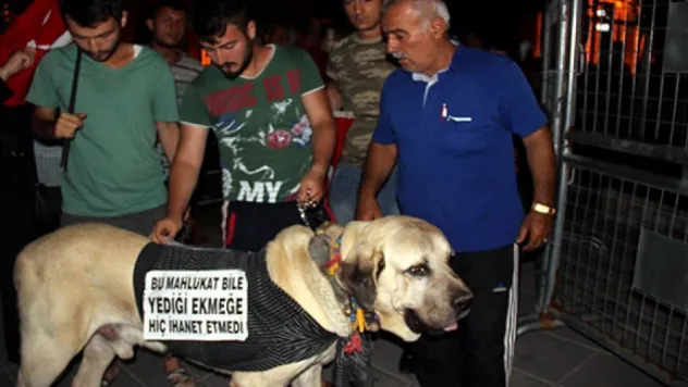 Kayseri'de demokrasi nöbetinin 12. günü