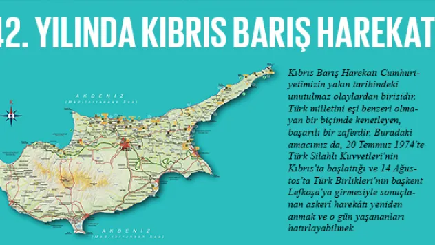 42. YILINDA KIBRIS BARIŞ HAREKATI
