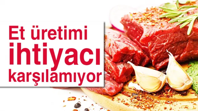 Et üretimi ihtiyacı karşılamıyor